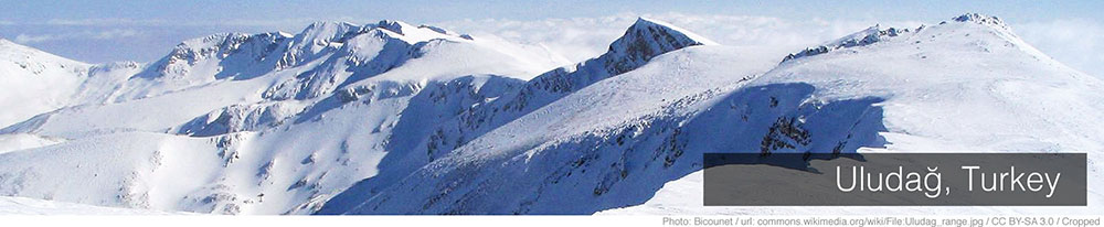 Bursa Bursa