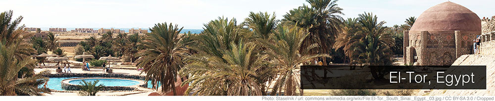 El-Tor El-Tor