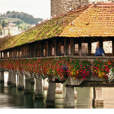 Lucerne