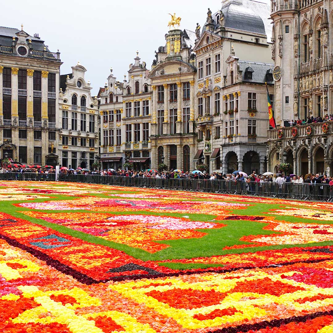 Brussels Brussels