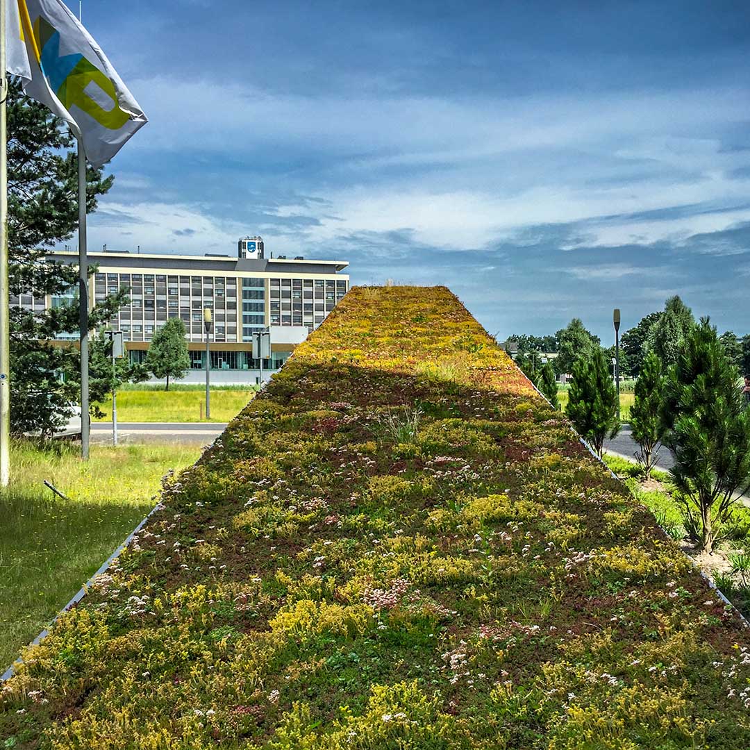 Eindhoven Eindhoven