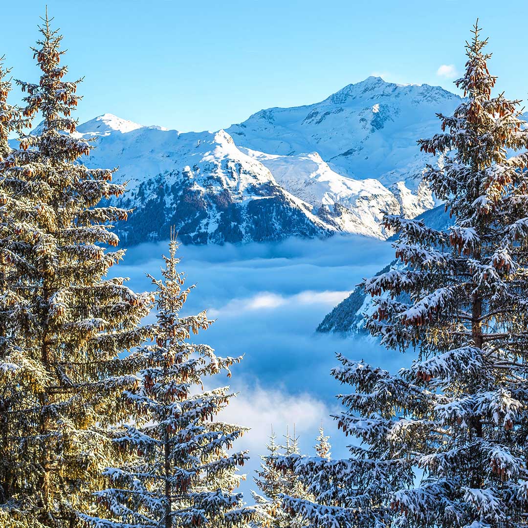 French Alps French Alps