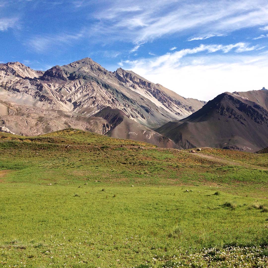 Mendoza Mendoza